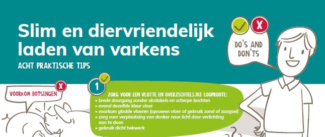 Flyer slim en diervriendelijk laden van varkens