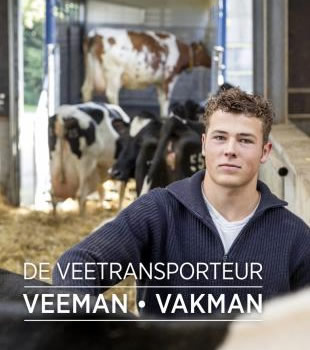 over veemanvakman